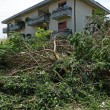 Tromba d'aria Mira-Dolo: case scoperchiate, alberi abbattuti FOTO 7