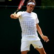 Tennis 2015, quarti di finale a Wimbledon 04