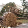Tromba d'aria Mira-Dolo: case scoperchiate, alberi abbattuti FOTO 18