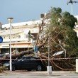 Tromba d'aria Mira-Dolo: case scoperchiate, alberi abbattuti FOTO 15