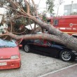 Tromba d'aria Mira-Dolo: case scoperchiate, alberi abbattuti FOTO 19