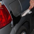 Ladri cambiavano colore e targa all'auto, arrestati8
