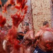 Tomatina, la tradizionale battaglia dei pomodori 6