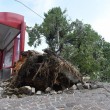 VIDEO YouTube - Bologna: nubifragio con alberi spezzati4