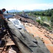 Alluvione Firenze, le FOTO. vigili del fuoco devono eseguire ancora 420 interventi