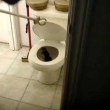 VIDEO YouTube – Topi escono dal water di casa 04