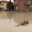 Maltempo Emilia, frane, ponti crollati: un morto, 2 dispersi5