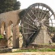 Norias of Hama