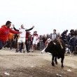 Toro de la Vega ucciso: Spagna, scontri con animalisti6