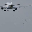 VIDEO YouTube - Aereo passa in mezzo a stormo di uccelli 01