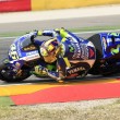 MotoGp Aragona, vince Lorenzo. Rossi terzo, ora è a +14