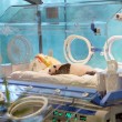 panda neonato saluta davanti telecamera3