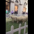 Pecore in via Montenapoleone a Milano FOTO 4