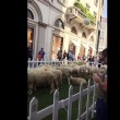 Pecore in via Montenapoleone a Milano FOTO