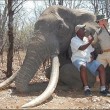 Cacciatore uccide elefante più grande dello Zimbabwe