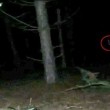 VIDEO YOUTUBE - Fantasma nel bosco?