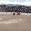 VIDEO YOUTUBE Perù, corrida: toro inferocito sale su spalti4