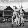 Rugby, giocatrici nude in campo per beneficenza3
