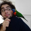 Domenico Maurantonio "solo quando precipitò": ultime analisi