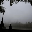 Nebbia "cancella" Londra: voli a terra e disagi4