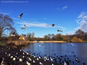 regent's park- capodanno a Londra