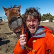Alex, il professionista dei selfie con animali7