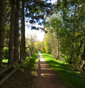 Benessere in Alto Adige