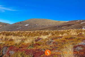 Trekking nella terra di Mordor: Cserjes resz
