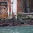 Venezia a secco5