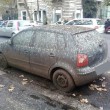 Roma, lungotevere chiuso per... guano! Caos in strada