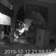 YOUTUBE Ladri rubano regali sotto l'albero di Natale02