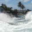 Clima: Isole Marshall stanno scomparendo. Un monito vivente5