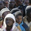 Migranti, zoo e parco giochi gratis per i richiedenti asilo