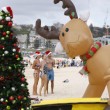 Natale 2015 nel mondo: Sydney, Betlemme, Berlino... FOTO