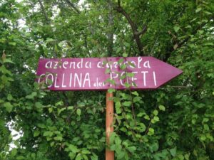 Santarcangelo di Romagna