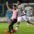 Coppa Italia, Palermo-Alessandria: diretta streaming Rai.tv 06