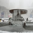 Tempesta Jonas sugli Usa: New York ferma, morti salgono a 19 19