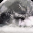 Bolla sapone raggiunge -15 gradi e si congela2