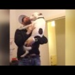Cane contento travolge padrone che torna a casa 4