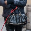 Elisabetta Canalis, suo cane non si trattiene13