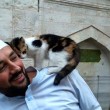 Istanbul, imam apre moschea ai gatti randagi2