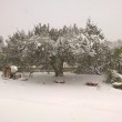 Maltempo neve a Pescara, Molise, Marche e Puglia