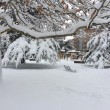 Maltempo: neve a Pescara, Molise, Marche e Puglia10