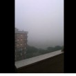 Nebbia Roma: Capitale si sveglia15