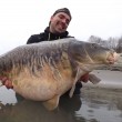 Pesce siluro da 2,72 metri pescato nel Po3