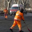 Roma, Aduc: "Guano su strada potrebbe provocare tubercolosi"4