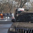 Roma, Aduc: "Guano su strada potrebbe provocare tubercolosi"8