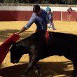 Torero in arena con figlioletta Tradizione familiare