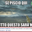 commenti-memorabili-facebook (15)