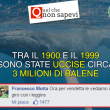 commenti-memorabili-facebook (4)